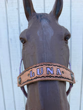 Pink ghost nylon horse halter personalized