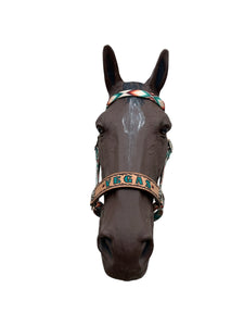 Horse Bitless bridle with personalized leather noseband