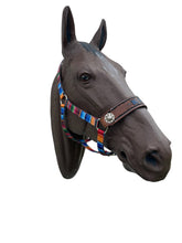 PERSONALIZED serape print nylon horse halter.