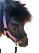 PERSONALIZED pink bandana nylon horse halter or pony halter.