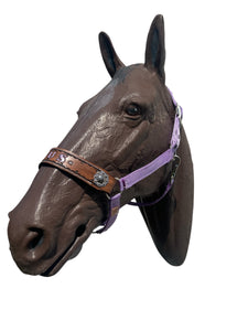 PERSONALIZED horse halter lilac