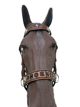 Personalized side pull hackamore  bitless attachment.... with black or brown chinstrap...all sizes