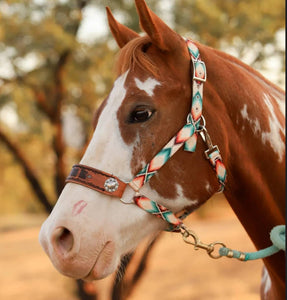 PERSONALIZED aztec print nylon horse halter