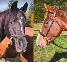 Black side pull hackamore  bitless attachment...all sizes