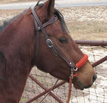 Burnt orange side pull hackamore  bitless attachment “with a whoa”.... with black or  brown chinstrap...all sizes