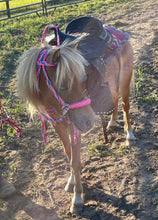 Pony Set-  hot pink turquoise and lilac.