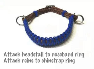Electric blue side pull hackamore  bitless attachment “with a whoa”.... with black or  brown chinstrap...all sizes