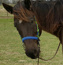 Electric blue side pull hackamore  bitless attachment “with a whoa”.... with black or  brown chinstrap...all sizes