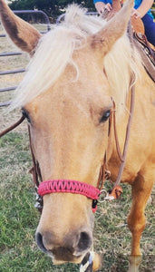 Fuchsia side pull hackamore  bitless attachment “with a whoa”.... with black or  brown chinstrap...all sizes