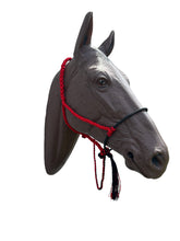 Lariat mule tape horse halter with lead