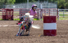 Pony Rainbow Fringe Tack set with turquoise