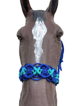 Braided horse halter electric blue  and teal