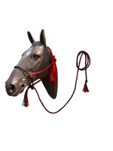 Lariat mule tape horse halter with lead