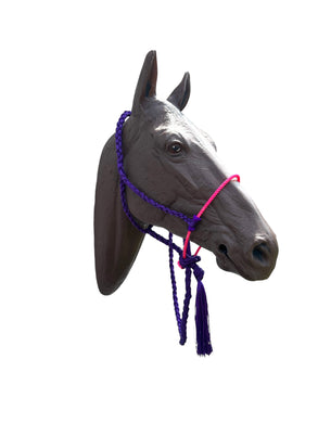 Lariat mule tape horse halter with lead