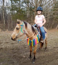 Rainbow fringe breast collar with wither strap.