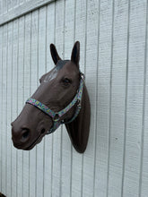 Bright paisley nylon horse halter