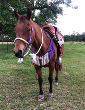 Purple Ombré Fringe Breast Collar