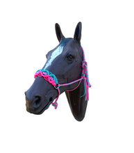 Braided horse halter hot pink and teal