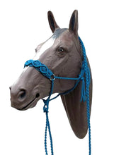 Braided horse halter with lead