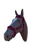 Horse Bitless bridle with fancy braided side pull hackamore