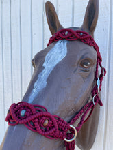 Horse Bitless bridle with fancy braided side pull hackamore