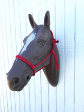 Braided horse halter with flat noseband