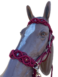 Horse Bitless bridle with fancy braided side pull hackamore