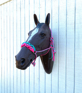 Braided horse halter hot pink and teal