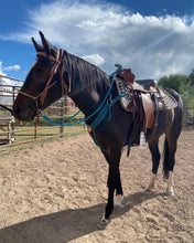 wide  breast collar dark teal and neon turquoise