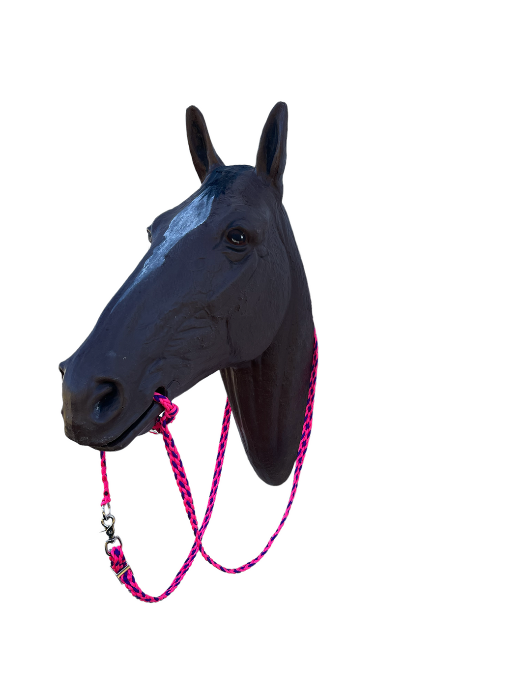 War bridle with buckle chinstrap and reins
