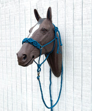 Braided horse halter with lead