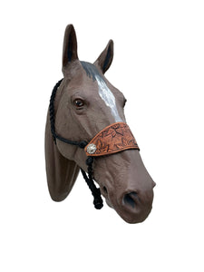 Sunflower Braided mule tape horse halter with bronc noseband
