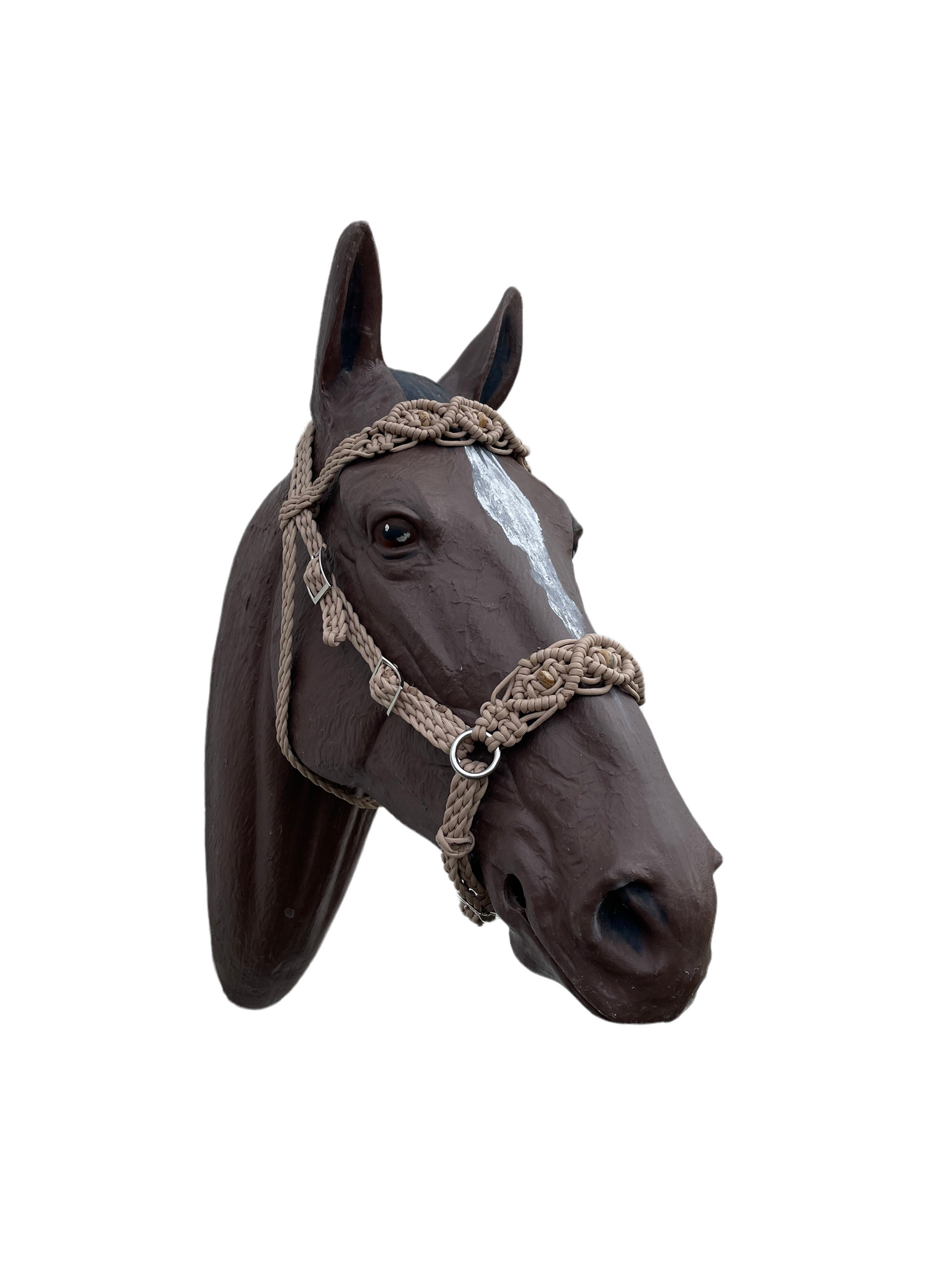 Horse Bitless bridle with fancy braided side pull hackamore Horse Bitless bridle with fancy braided side pull hackamore