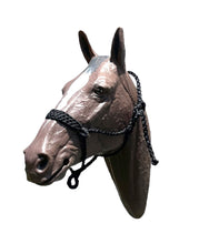 Black Braided mule tape horse halter with flat noseband