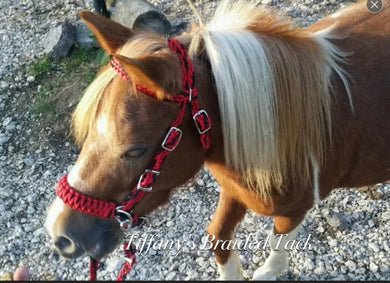 complete bitless bridle side pull with a whoa red and black …pony, Cob, Horse or Draft horse size (you pick your colors)