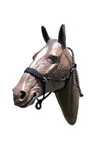 Black Braided mule tape horse halter with flat noseband